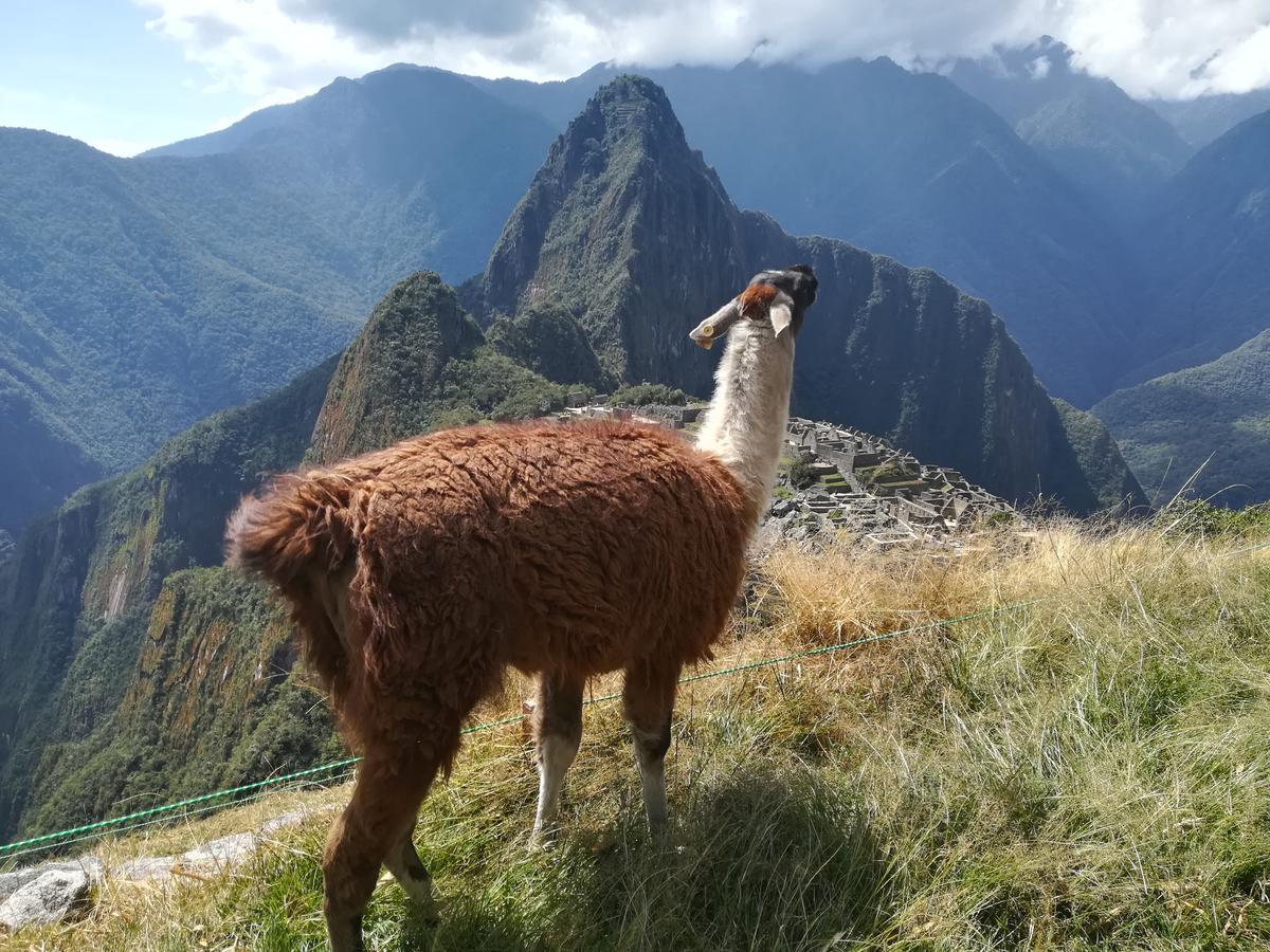 Hotel Golden Sunrise Machupicchu Exteriér fotografie
